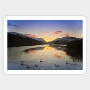 SUNRISE & SWANS - LLYN PADARN Sticker